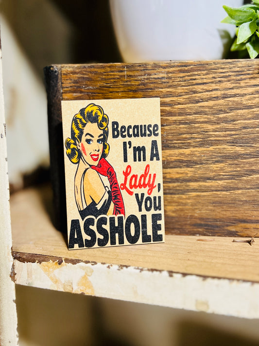 Because Im a Lady Kitchen Magnet
