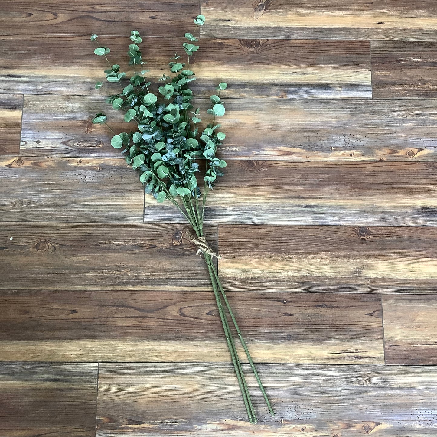 Bygone Eucalyptus Bundle