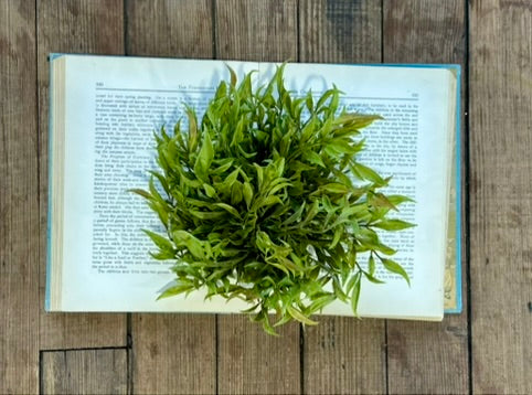 8" Smilax Half Sphere